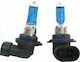 Xtec Lamps Car HID SuperWhite HB4-9006 Halogen 4200K Natural White 12V 55W 2pcs