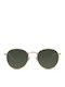 Meller Yster Sunglasses with Gold Metal Frame and Green Lens Y-GOLDOLIVE