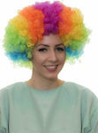 Carnival Wig Afro Multicolour 8cm