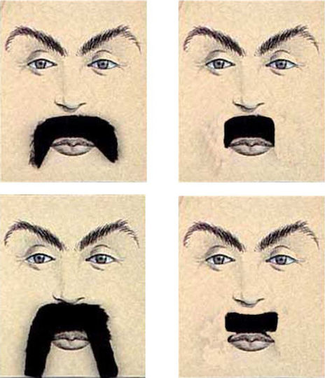 Mustach / Beard for Carnival in Black color 1pcs 9268