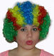 Carnival Wig Hippie Curly Multicolour