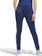 SST Track Pants Pantaloni de trening pentru femei Albastru