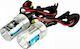 Rolinger Lamps Car H7 Xenon 6000K Cold White 12V 35W 2pcs