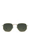 Meller Eyasi Sunglasses with Gold Metal Frame and Green Lenses