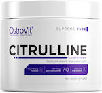 OstroVit Supreme Pure Citrulline 210gr Ungesüßt