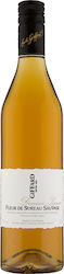 Giffard