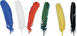 Carnival Indian Wings 1pcs