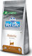 Farmina Vet Life Diabetic Dry Food for Adult Cats with Corn / Chicken 0.4kg
