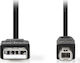 Nedis 3m USB 2.0 Cable A-Male to B-Male (CCGT60100BK30)