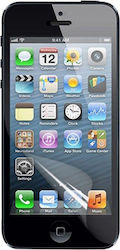 Screen Protector (iPhone 5 / 5s / SE)