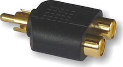 Muzik 10-2014G RCA Männlich Zu RCA 2x Weiblich Muzik 10-2014G RCA Männlich Zu RCA 2x Weiblich