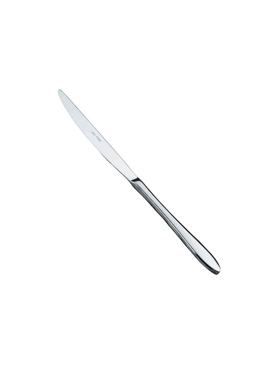 Salvinelli Galileo Μαχαίρι Φαγητού από Ανοξείδωτο Ατσάλι 23cm