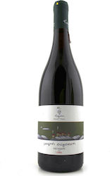 Eyfrosyni Kleine Elegante Rot Trocken 750ml