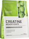 OstroVit Creatine Monohydrate Micronized με Γεύση Πράσινο Μήλο 500gr