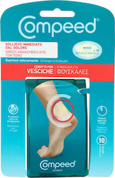 LR Aloe Vera All Purpose MSM Body Gel     60%  200ml |  Skroutz.gr