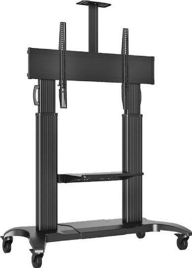 NB AV CF100 TV Mount Floor up to 100" and 90.9kg