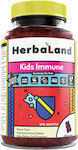 HerbaLand Immune Boost Sugar Free Βιταμίνη για Ανοσοποιητικό Κεράσι 90 ζελεδάκια