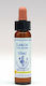 Healing Herbs Larch Blütenessenzen in Drops 10ml