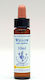 Healing Herbs Willow Ανθοΐαμα σε Σταγόνες 10ml