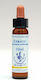 Healing Herbs Cerato Flower Essence in Drops 10ml
