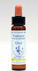 Healing Herbs Vervain Ανθοΐαμα σε Σταγόνες για Χαλάρωση 10ml
