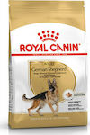 Royal Canin Adult German Shepherd 11kg Trockenfutter für erwachsene Hunde großer Rassen mit Reis und Geflügel