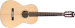 Guild Semi-Acoustic Guitar P240 Memoir Westerly Natural