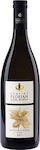 Domaine Florian Κρασί Fume Sauvignon Blanc Λευκό Ξηρό 750ml