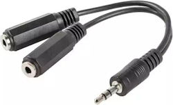 Lanberg AD-0024-BK 3.5mm männlich zu 3.5mm 2x weiblich