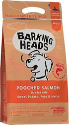 Barking Heads Pooched Salmon 2kg Ξηρά Τροφή χωρίς Σιτηρά για Ενήλικους Σκύλους με Σολομό