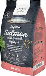 Connoly's Red Mills Go Native Organic 4kg Dry Food Grain-Free & Gluten-Free for Adult Dogs with Salmon