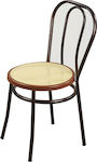 Dining & Kitchen Chairs