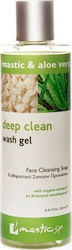 Mastic Spa Deep Clean Wash Gel Facial Cleansing 250ml Mastic Spa Deep Clean Wash Gel Facial Cleansing 250ml