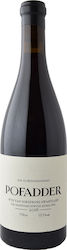 The Sadie Family Pofadder Ερυθρό Ξηρό 750ml The Sadie Family Pofadder Ερυθρό Ξηρό 750ml