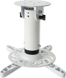 Techly Βάση Projector Οροφής ICA-PM-200WH με Μέγιστο Φορτίο 15kg Λευκή