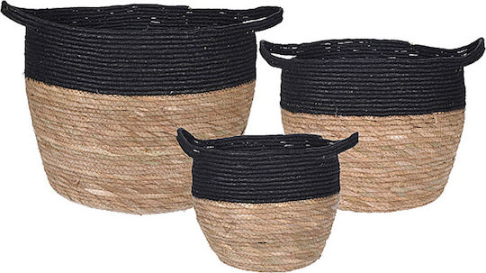 Zaros Set Dekorative Körbe Korbweide mit Griffen 38x38x33cm 3Stücke