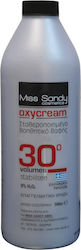 Miss Sandy Οξειδωτικό Γαλάκτωμα 6% 30Vol 500ml