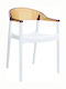 Carmen Kitchen Polypropylene Armchair White 49x53x79cm 32.0111