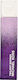 Michael Kors Twilight Shimmer Eau de Parfum Shimmer 100ml