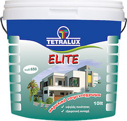Tetralux Elite Πλαστικό Χρώμα Ακρυλικό για Εξωτερική Χρήση Γκρι 750ml Tetralux Elite Πλαστικό Χρώμα Ακρυλικό για Εξωτερική Χρήση Γκρι 750ml