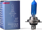 M-Tech Lampen Auto & Motorrad Xenon Blue H7 Halogen 5000K Kaltes Weiß 12V 55W 1Stück