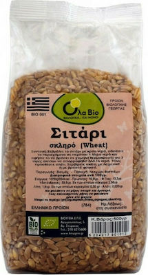 Όλα Bio Organic Seeds Wheat Whole Grain 500gr 1pcs ΒΙΟ001