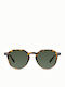 Meller Chauen Sunglasses with Brown Plastic Frame and Green Polarized Lens CH-TIGOLI