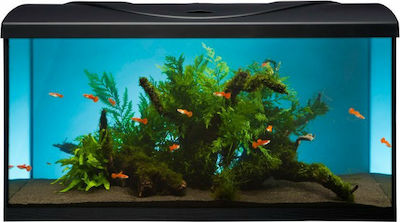 Diversa Startup 80 Fish Aquarium Capacity 115lt with Lighting, Heater, Filter and 80x35x40cm. Black