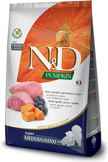 Farmina N&D Pumpkin Puppy Medium & Maxi 2.5kg Dry Food Grain-Free for Medium & Large Breed Puppies with Lamb and Pumpkin