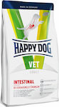 Happy Dog Vet Intestinal 1kg Dry Food for Dogs with Lamb and Potatoes