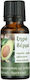 BioLeon Νourishing & Αnti-aging Avocado and Jojoba Facial Oil 20ml