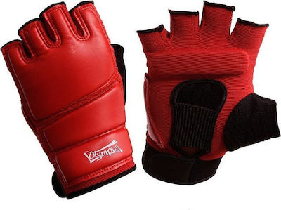 Olympus Sport WTF Hand Protectors 4000699 4000699 Red