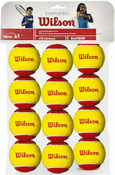 Wilson Starter Red Tennisbälle Tennis Kinder 12Stück