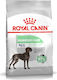 Royal Canin Digestive Care Maxi 10kg Trockenfutter für erwachsene Hunde großer Rassen mit Geflügel und Reis